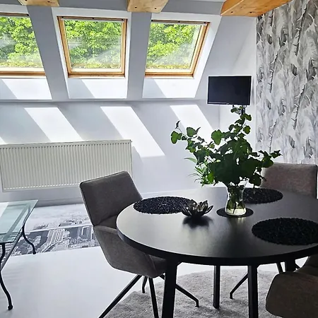 U Pilotky Apartment Poděbrady